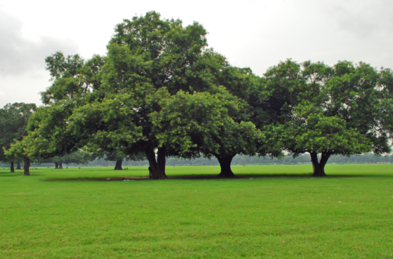 Hidden Gems of Kolkata: Exploring the City’s Lesser-Known Treasures